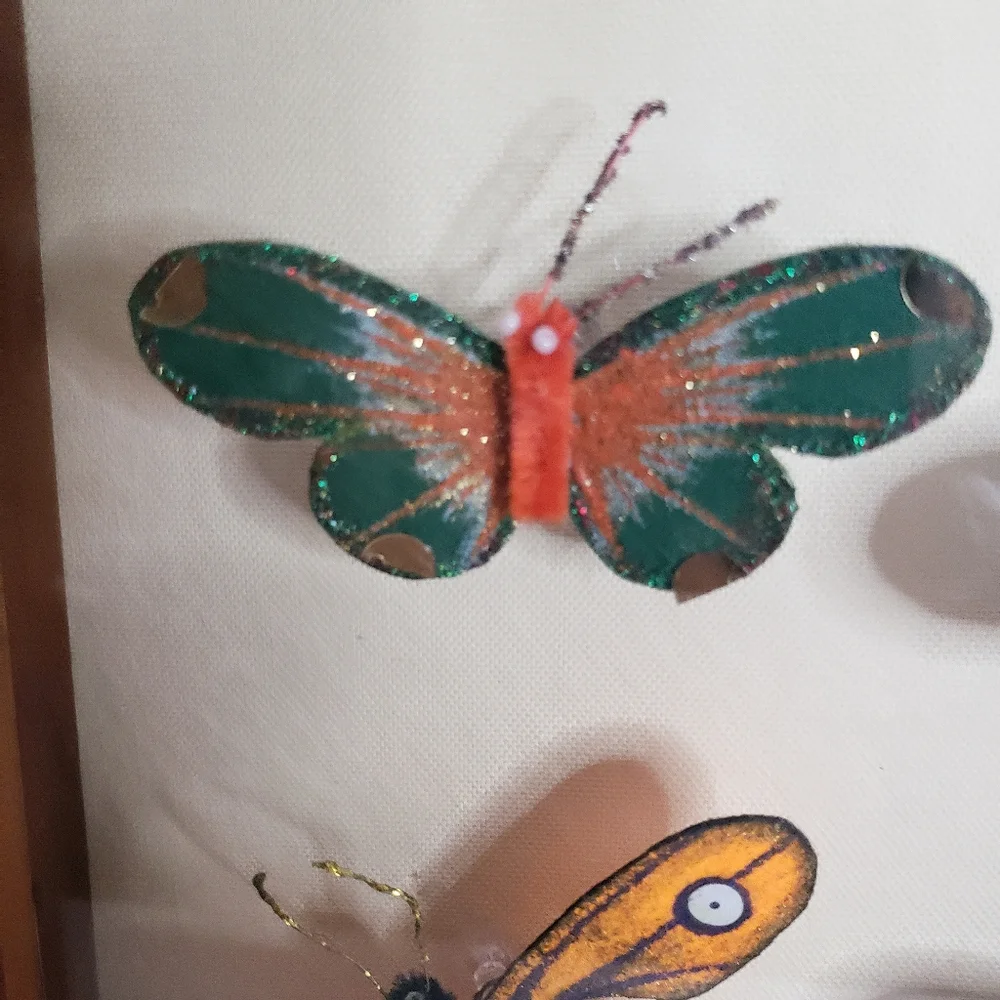 Butterflies arranged in a shadow box. 214